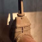 whatsapp image 2026 01 23 at 12.03.31 (2)